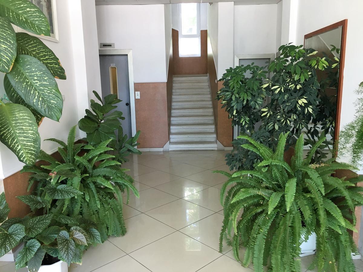 فندق Danubian فيدين المظهر الخارجي الصورة